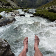 User profile picture